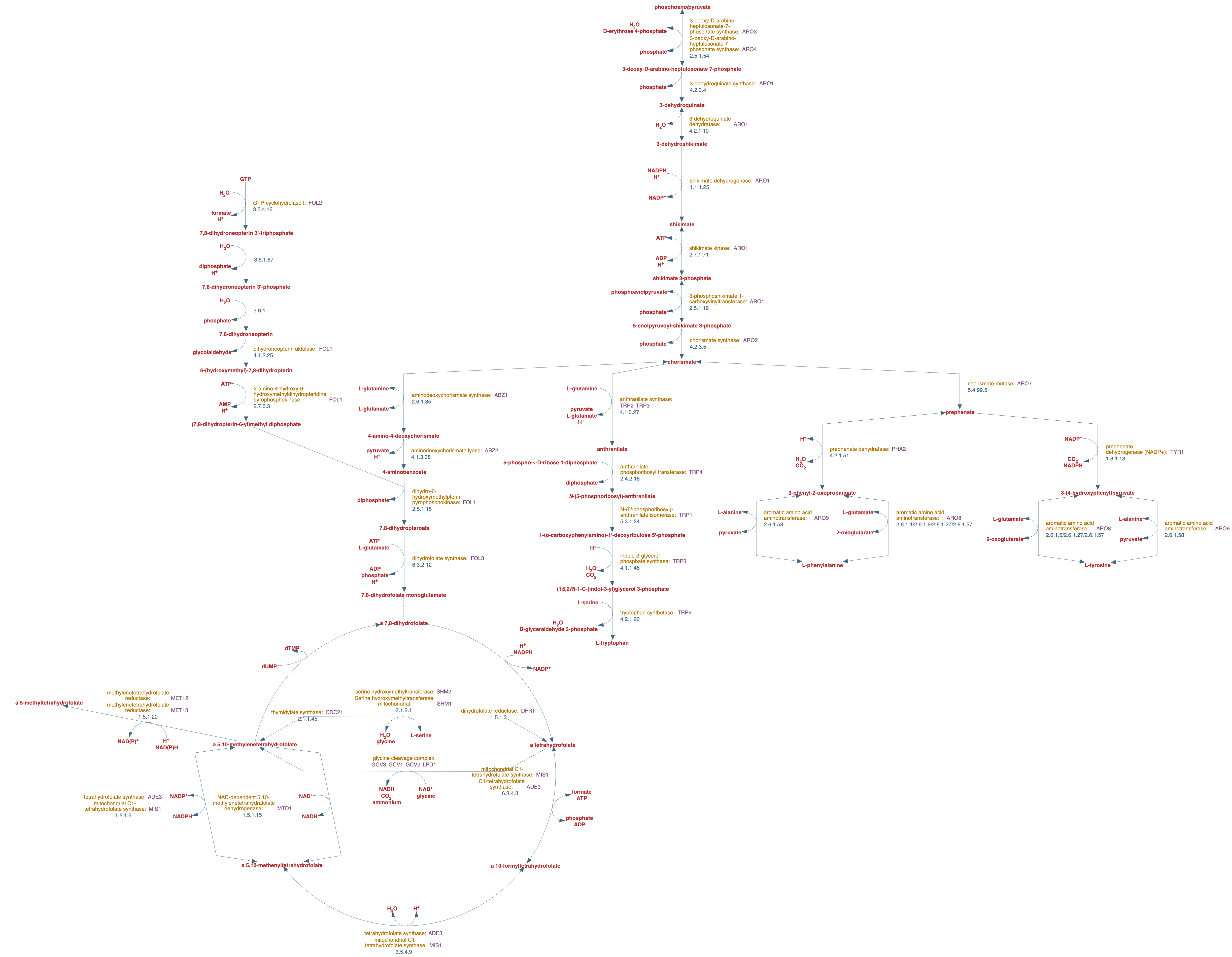 superpathway of chorismate metabolism pathway diagram
