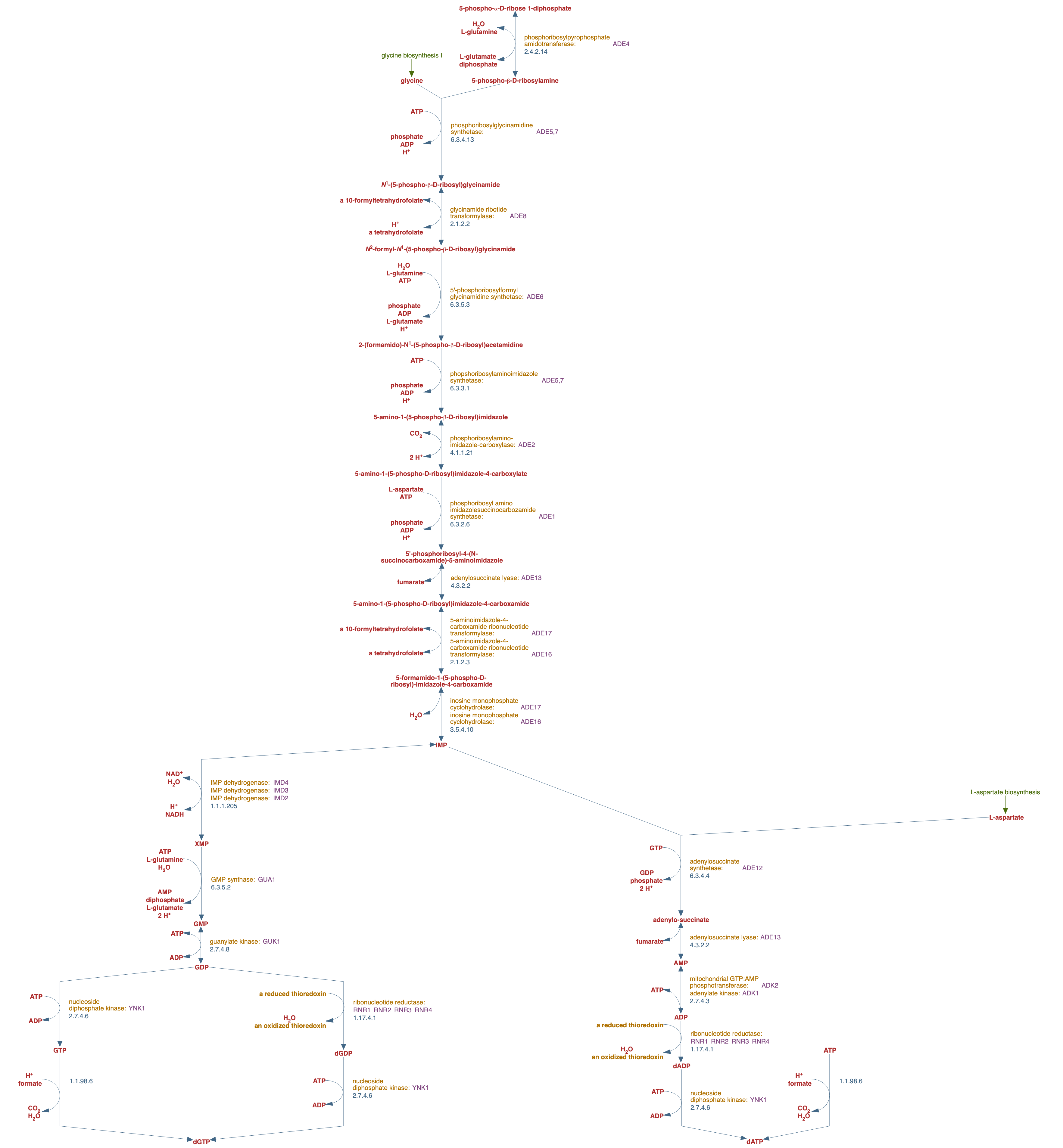 superpathway of purine nucleotides de novo biosynthesis II pathway diagram