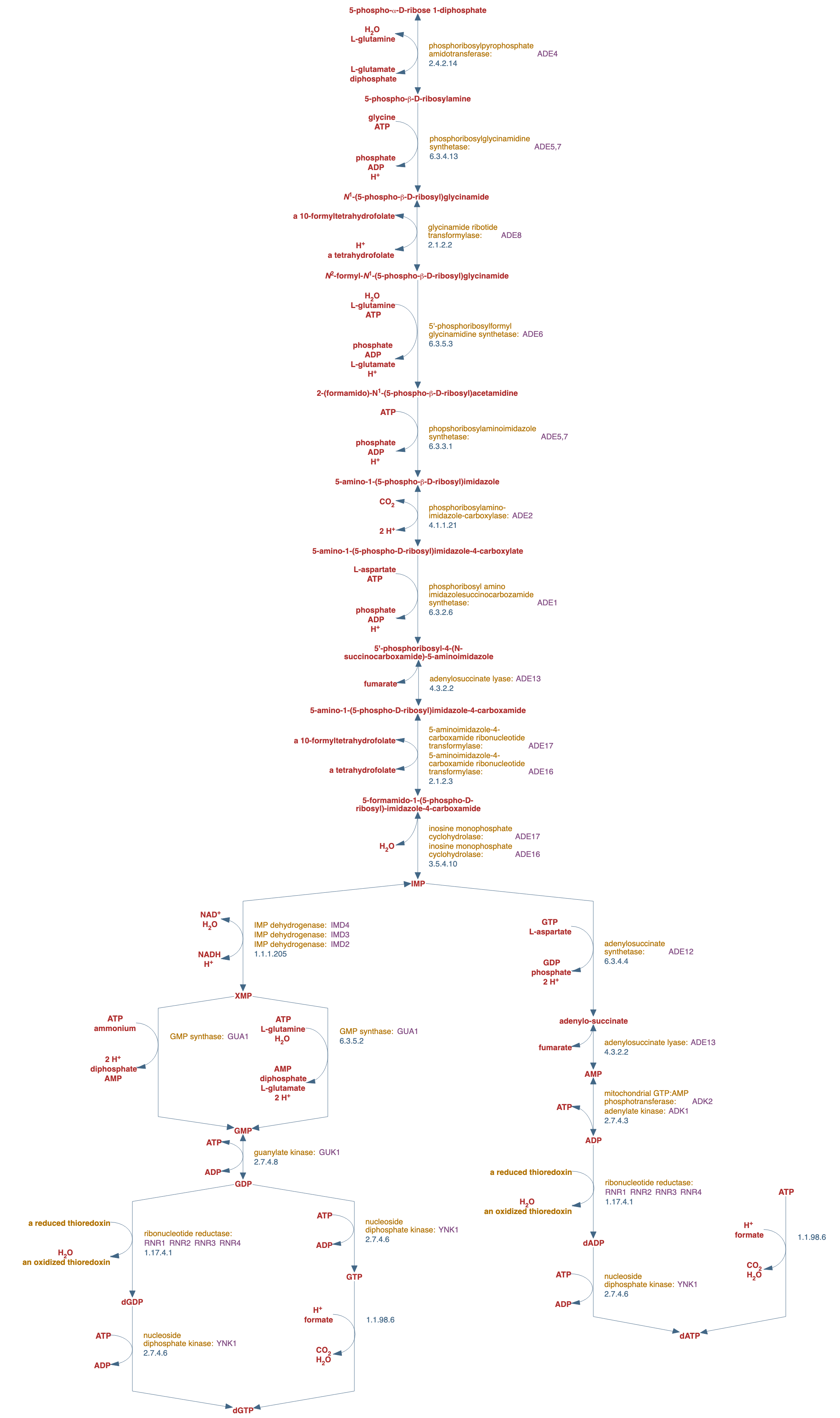 de novo biosynthesis of purine nucleotides pathway diagram