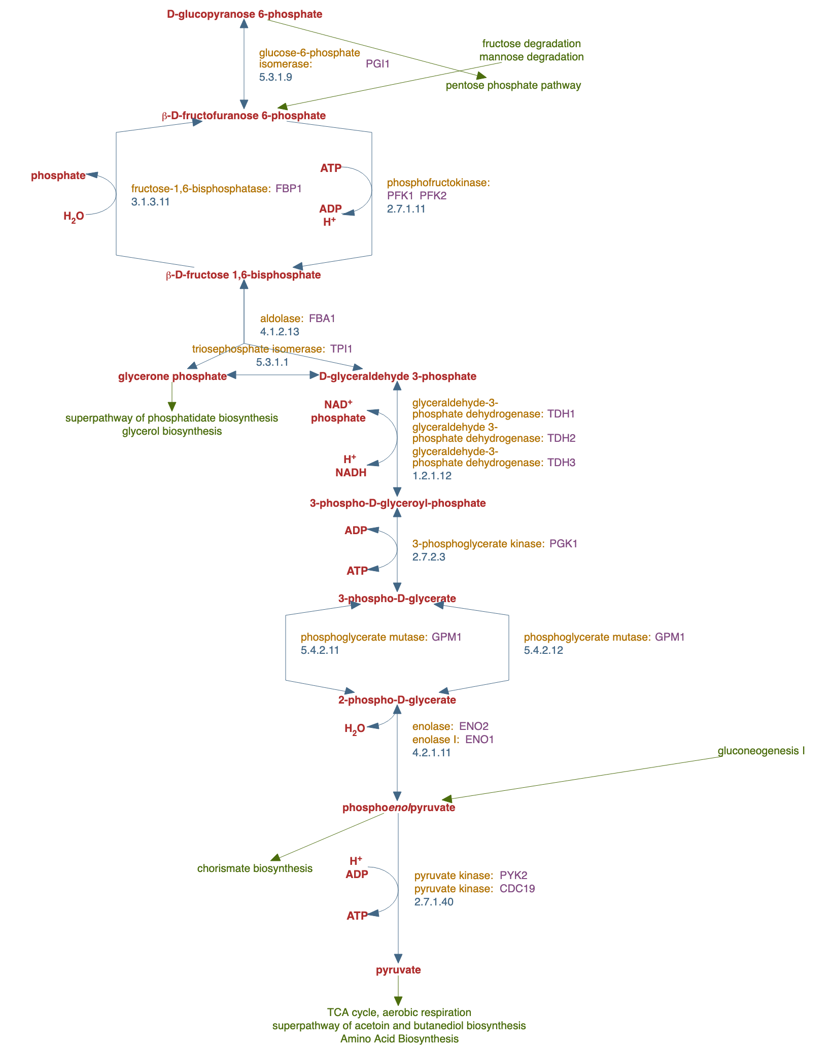 glycolysis I (from glucose 6-phosphate) pathway diagram