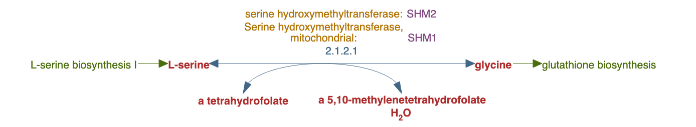 glycine biosynthesis I pathway diagram