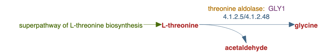 glycine biosynthesis IV pathway diagram