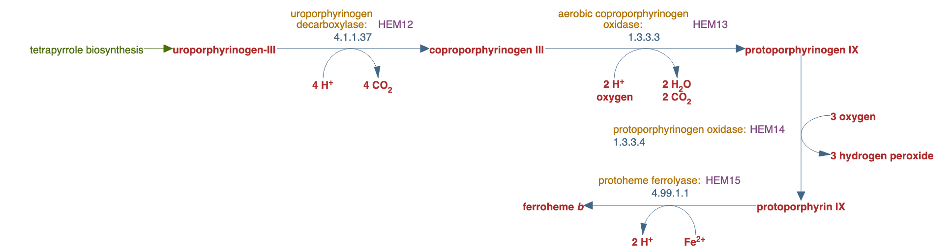 heme b biosynthesis I (aerobic) pathway diagram