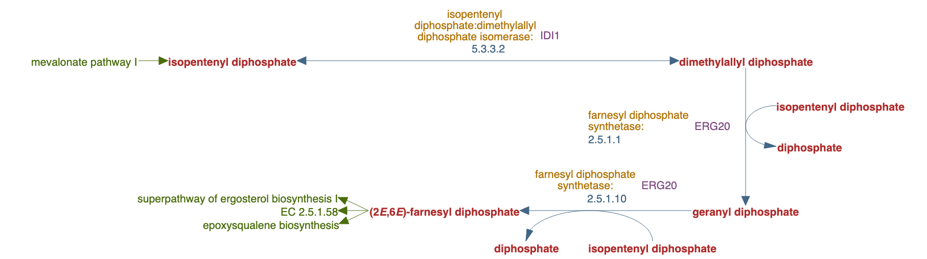 trans, trans-farnesyl diphosphate biosynthesis pathway diagram