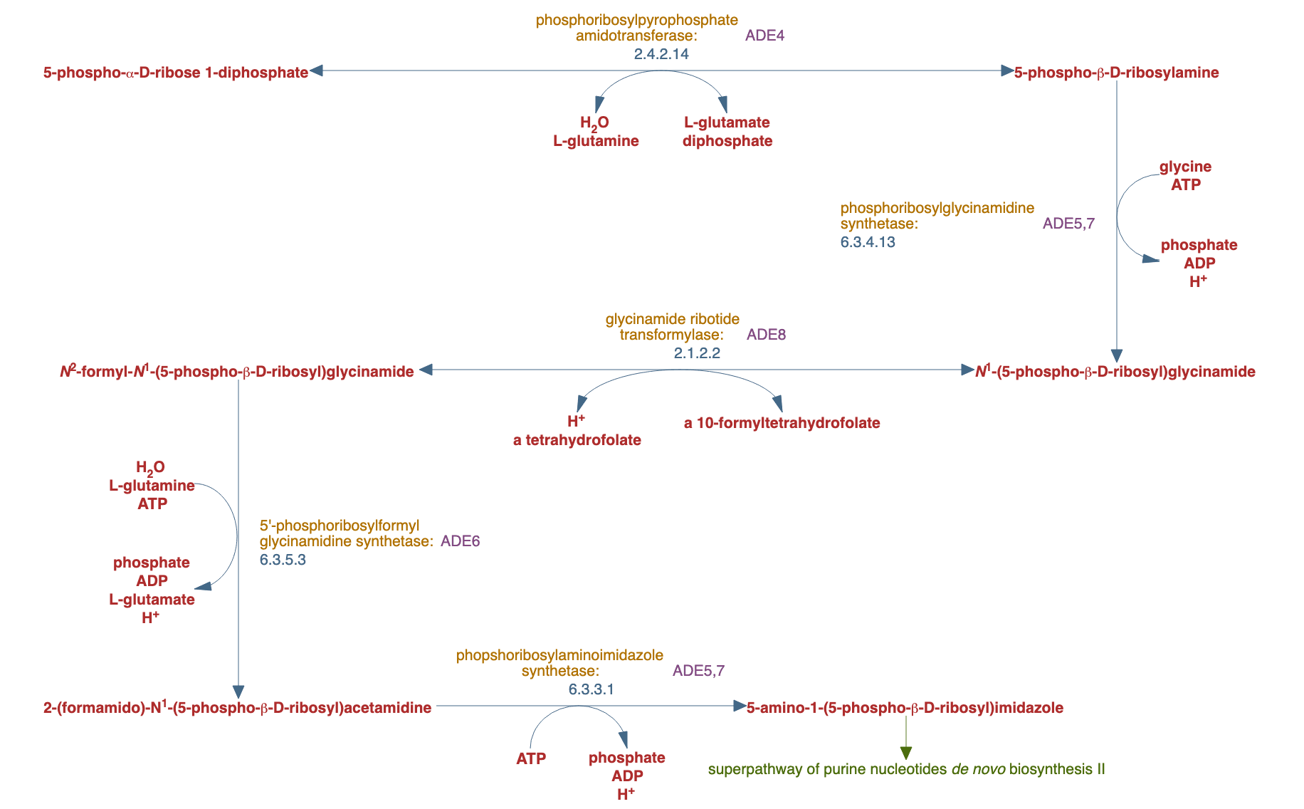 5-aminoimidazole ribonucleotide biosynthesis II pathway diagram