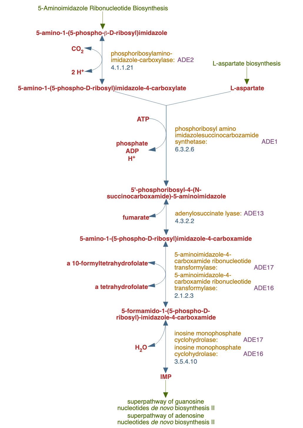 inosine-5'-phosphate biosynthesis I pathway diagram