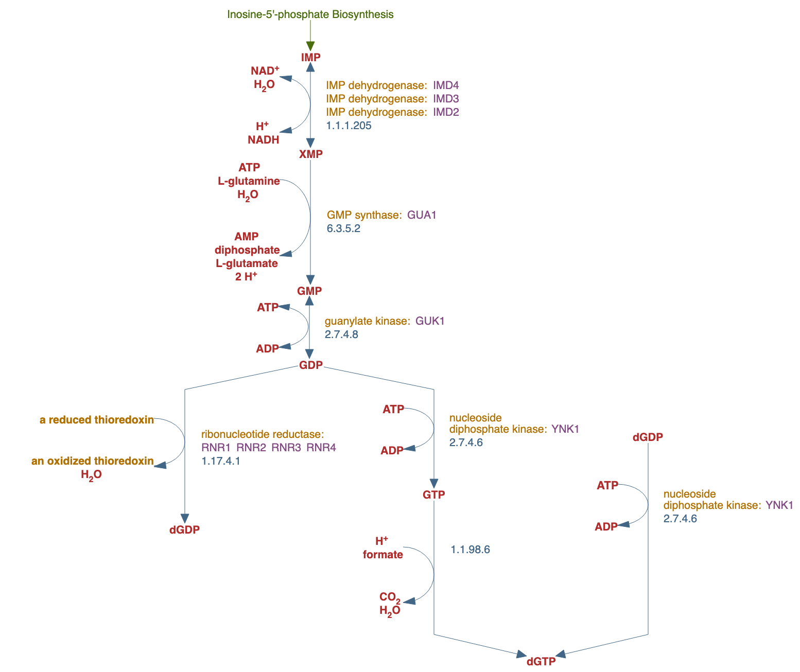 superpathway of guanosine nucleotides de novo biosynthesis II pathway diagram