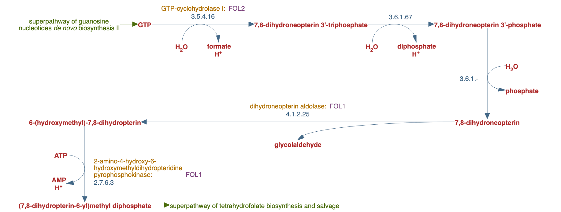 6-hydroxymethyl-dihydropterin diphosphate biosynthesis I pathway diagram