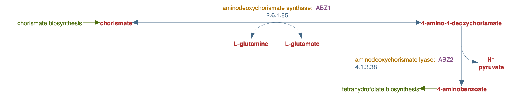 4-aminobenzoate biosynthesis pathway diagram