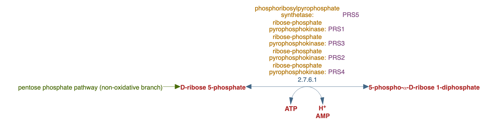 PRPP biosynthesis pathway diagram