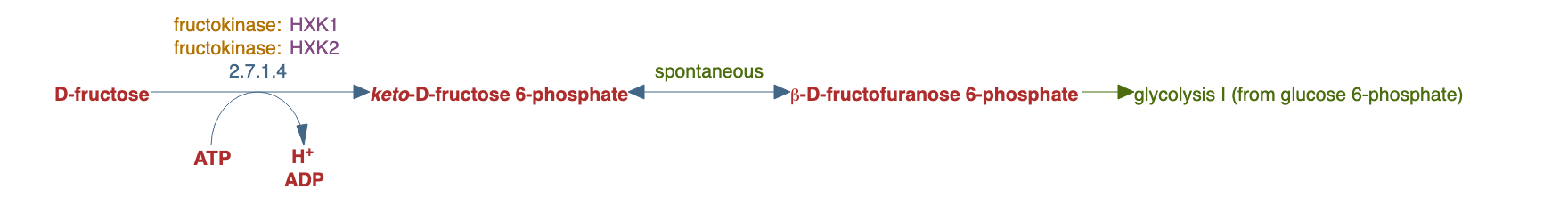 fructose degradation pathway diagram