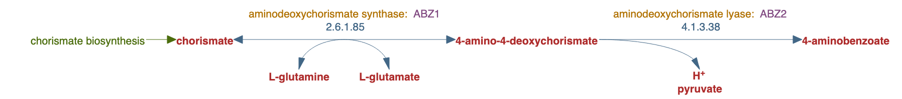p-aminobenzoate biosynthesis pathway diagram