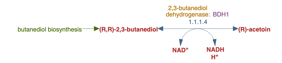 (R,R)-butanediol degradation pathway diagram