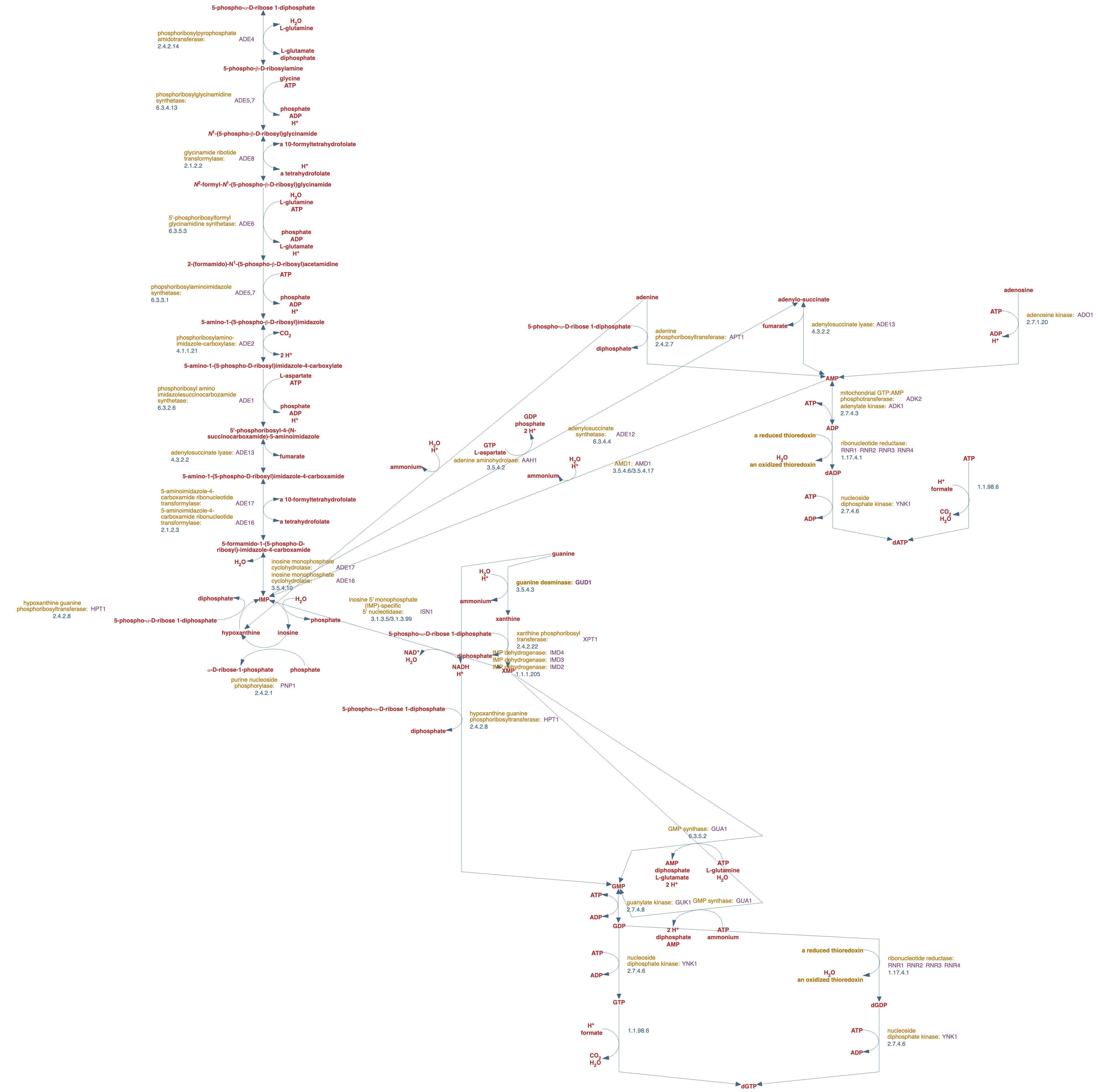 superpathway of purine biosynthesis and salvage pathways pathway diagram