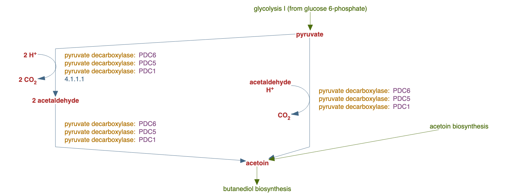 pyruvate fermentation to acetoin III pathway diagram