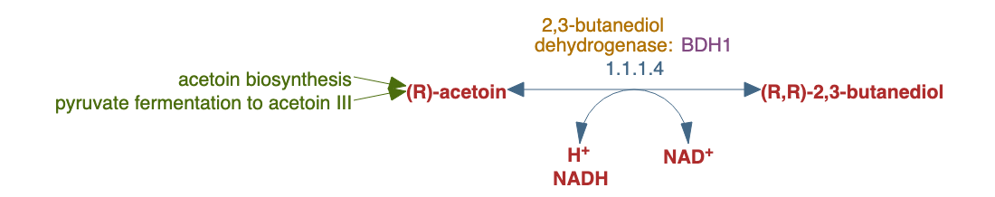 butanediol biosynthesis pathway diagram