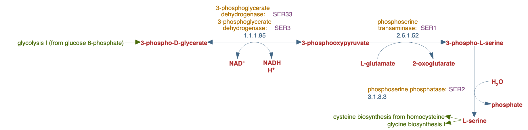 L-serine biosynthesis I pathway diagram