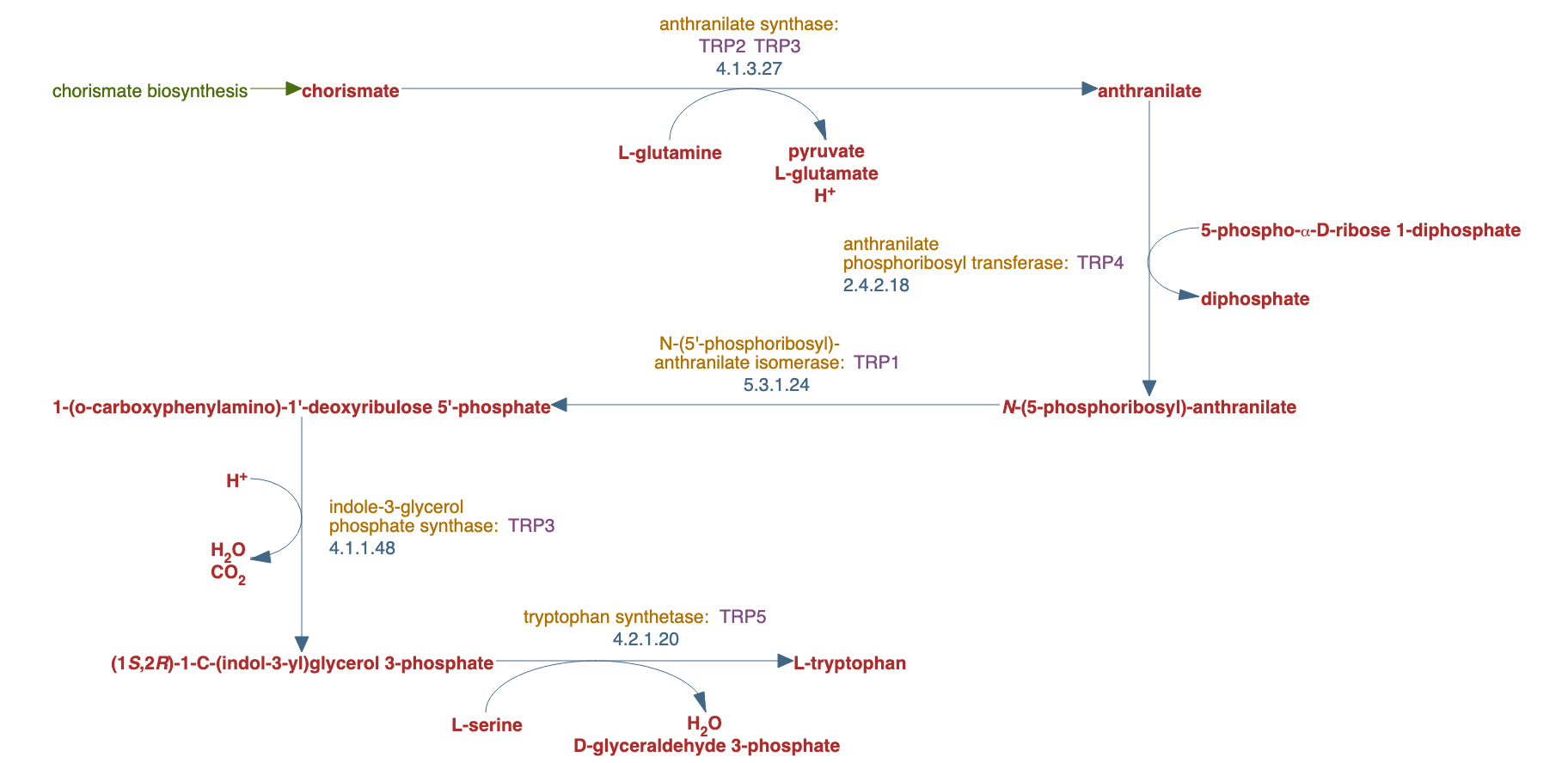 L-tryptophan biosynthesis pathway diagram
